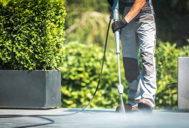 Best Animal Enclosure Cleaning  in Sinking Spring, PA