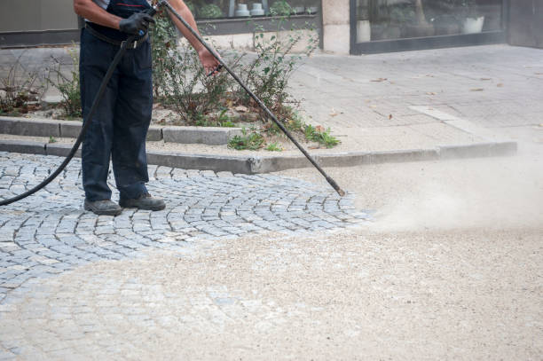 Best Building Exterior Washing  in Sinking Spring, PA